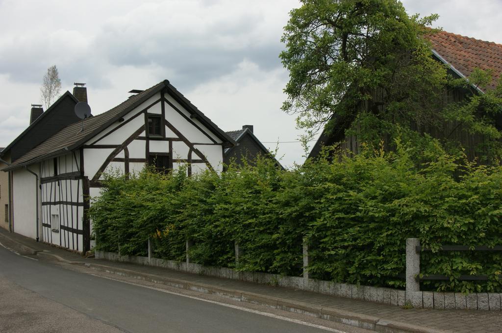 Authentiek Eifelhuis Villa Hecken Room photo